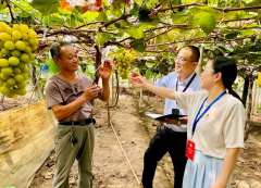 【纪检监察人·镜头】北仑：监视小暗语 